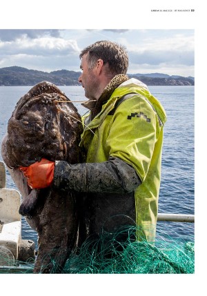 bergenstidende_btmagasinet-20210515_000_00_00_023.pdf