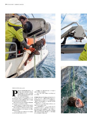 bergenstidende_btmagasinet-20210515_000_00_00_024.pdf