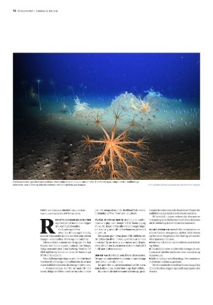 bergenstidende_btmagasinet-20210522_000_00_00_012.pdf