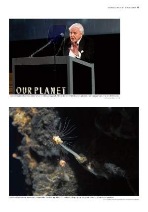 bergenstidende_btmagasinet-20210522_000_00_00_017.pdf