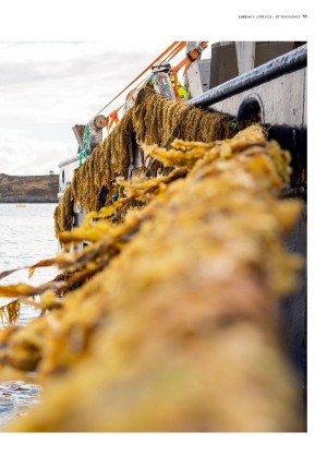 bergenstidende_btmagasinet-20210605_000_00_00_011.pdf