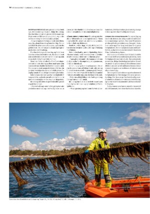 bergenstidende_btmagasinet-20210605_000_00_00_014.pdf