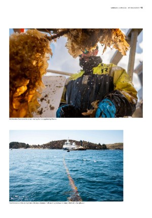 bergenstidende_btmagasinet-20210605_000_00_00_015.pdf