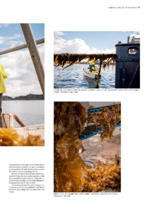 bergenstidende_btmagasinet-20210605_000_00_00_017.pdf