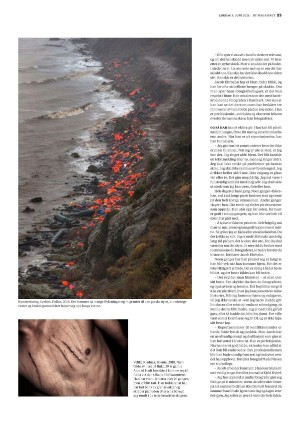 bergenstidende_btmagasinet-20210605_000_00_00_025.pdf