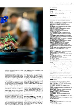 bergenstidende_btmagasinet-20210821_000_00_00_037.pdf