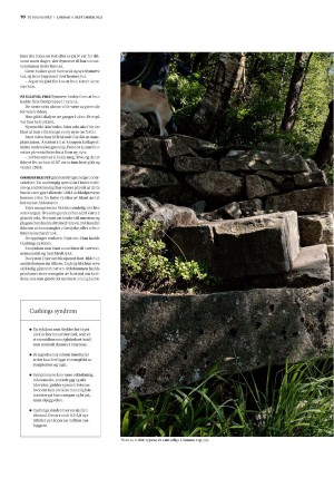 bergenstidende_btmagasinet-20210904_000_00_00_010.pdf