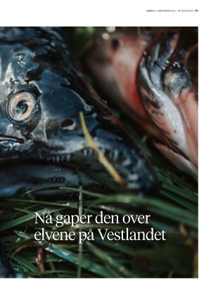 bergenstidende_btmagasinet-20210904_000_00_00_031.pdf