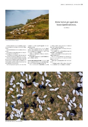bergenstidende_btmagasinet-20210911_000_00_00_033.pdf