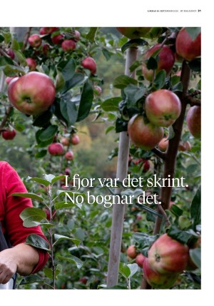 bergenstidende_btmagasinet-20210918_000_00_00_031.pdf
