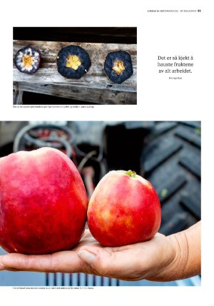 bergenstidende_btmagasinet-20210918_000_00_00_035.pdf