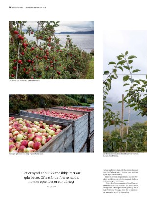 bergenstidende_btmagasinet-20210918_000_00_00_036.pdf