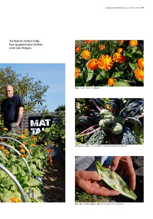 bergenstidende_btmagasinet-20210925_000_00_00_031.pdf