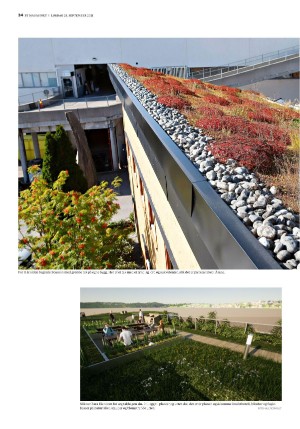 bergenstidende_btmagasinet-20210925_000_00_00_034.pdf