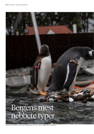 bergenstidende_btmagasinet-20211009_000_00_00_024.pdf