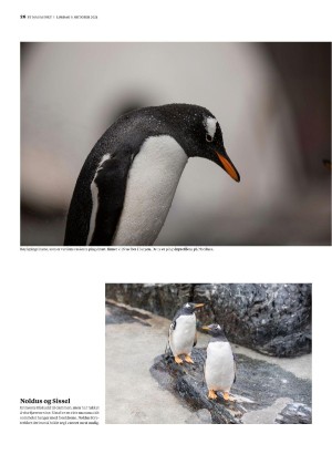bergenstidende_btmagasinet-20211009_000_00_00_026.pdf
