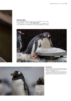 bergenstidende_btmagasinet-20211009_000_00_00_029.pdf