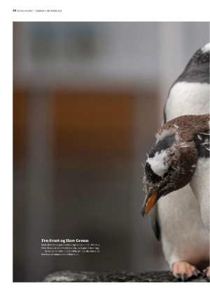 bergenstidende_btmagasinet-20211009_000_00_00_030.pdf