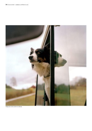 bergenstidende_btmagasinet-20211120_000_00_00_030.pdf