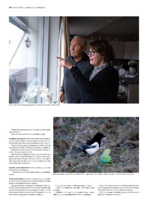bergenstidende_btmagasinet-20211127_000_00_00_034.pdf