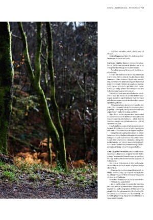 bergenstidende_btmagasinet-20211204_000_00_00_013.pdf