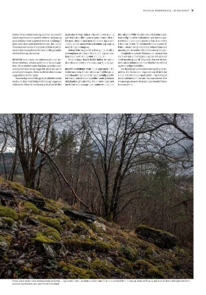 bergenstidende_btmagasinet-20211231_000_00_00_009.pdf