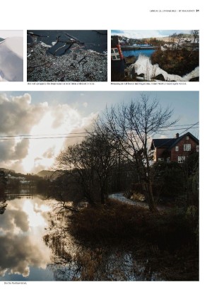 bergenstidende_btmagasinet-20220122_000_00_00_031.pdf