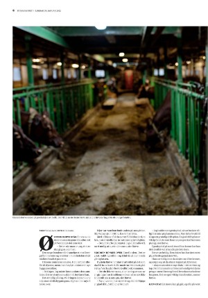 bergenstidende_btmagasinet-20220129_000_00_00_006.pdf