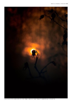 bergenstidende_btmagasinet-20220129_000_00_00_025.pdf