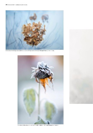 bergenstidende_btmagasinet-20220129_000_00_00_026.pdf