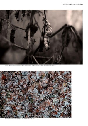 bergenstidende_btmagasinet-20220129_000_00_00_029.pdf