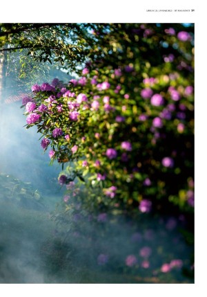 bergenstidende_btmagasinet-20220129_000_00_00_031.pdf