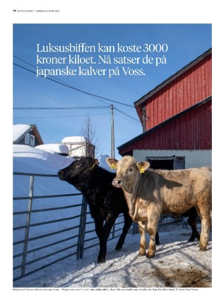 bergenstidende_btmagasinet-20220326_000_00_00_014.pdf