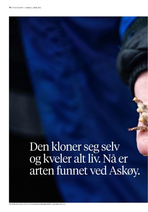 bergenstidende_btmagasinet-20220402_000_00_00_012.pdf