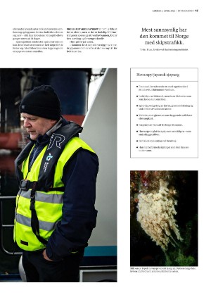bergenstidende_btmagasinet-20220402_000_00_00_015.pdf