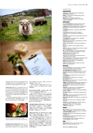 bergenstidende_btmagasinet-20220604_000_00_00_031.pdf