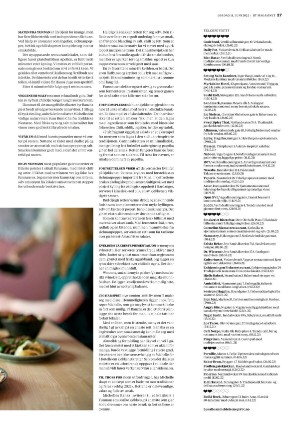 bergenstidende_btmagasinet-20220611_000_00_00_027.pdf