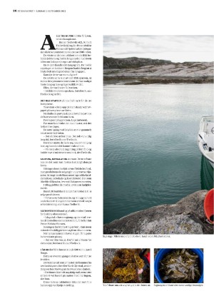 bergenstidende_btmagasinet-20220903_000_00_00_026.pdf