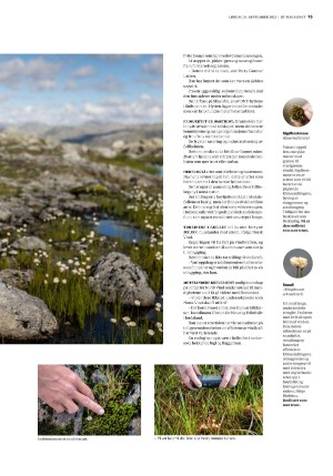 bergenstidende_btmagasinet-20220924_000_00_00_015.pdf