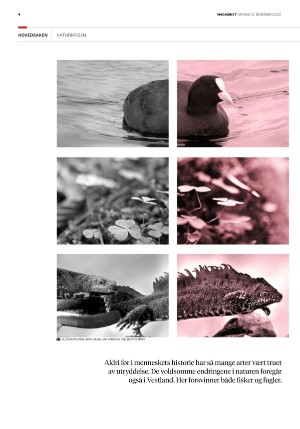 bergenstidende_btmagasinet-20221210_000_00_00_004.pdf