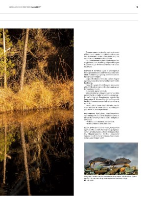 bergenstidende_btmagasinet-20221210_000_00_00_015.pdf