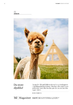 bergenstidende_btmagasinet-20240629_000_00_00_002.pdf