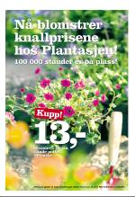 bergenstidende_del2-20070623_000_00_00_024.pdf