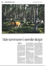 bergenstidende_del2-20070909_000_00_00_002.pdf