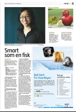 bergenstidende_del2-20070929_000_00_00_005.pdf