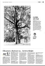 bergenstidende_del2-20071021_000_00_00_004.pdf