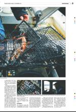 bergenstidende_del2-20071118_000_00_00_003.pdf