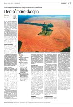 bergenstidende_del2-20071218_000_00_00_013.pdf