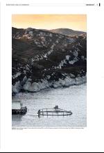 bergenstidende_del2-20071230_000_00_00_003.pdf