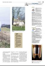 bergenstidende_del2-20080111_000_00_00_003.pdf